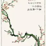 Sorimachi 409 by Ooka Shunboku