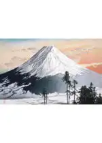 Mt. Fuji Katsuyama Neighborhood