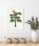 Vintage palm tree illustration (1878) - Image 2