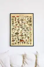 Adolphe Millot Champignons II - Image 2