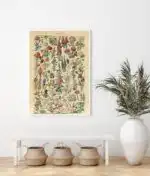 Adolphe Millot fleurs - Image 2