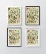 Adolphe Millot fleurs - Image 3