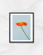 Aesthetic flower art print, orange poppy 2 - Image 2