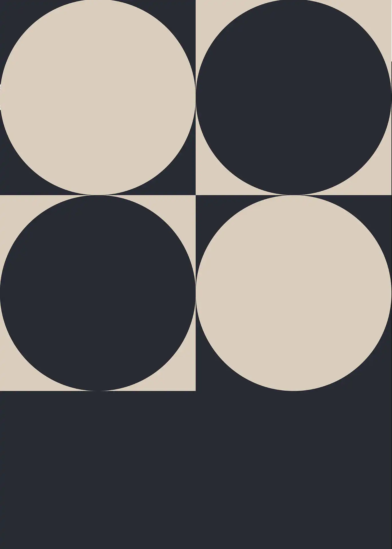 Черно-Сиви кръгове Черно-Сиви кръгове - Image 1