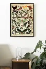 Adolphe Millot Papillons - Image 2