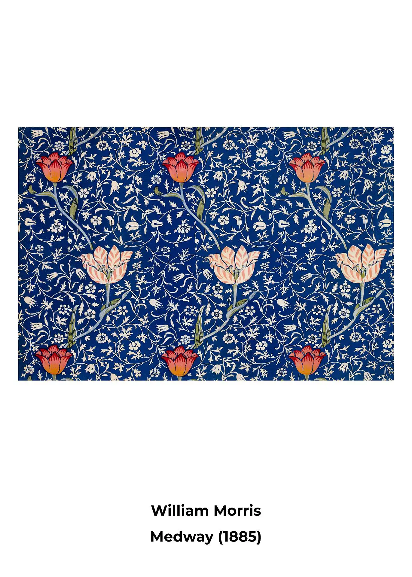 Medway (1885) Medway (1885) - Image 1