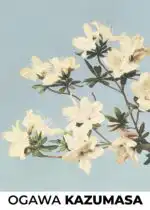 Azaleas by Ogawa Kazumasa