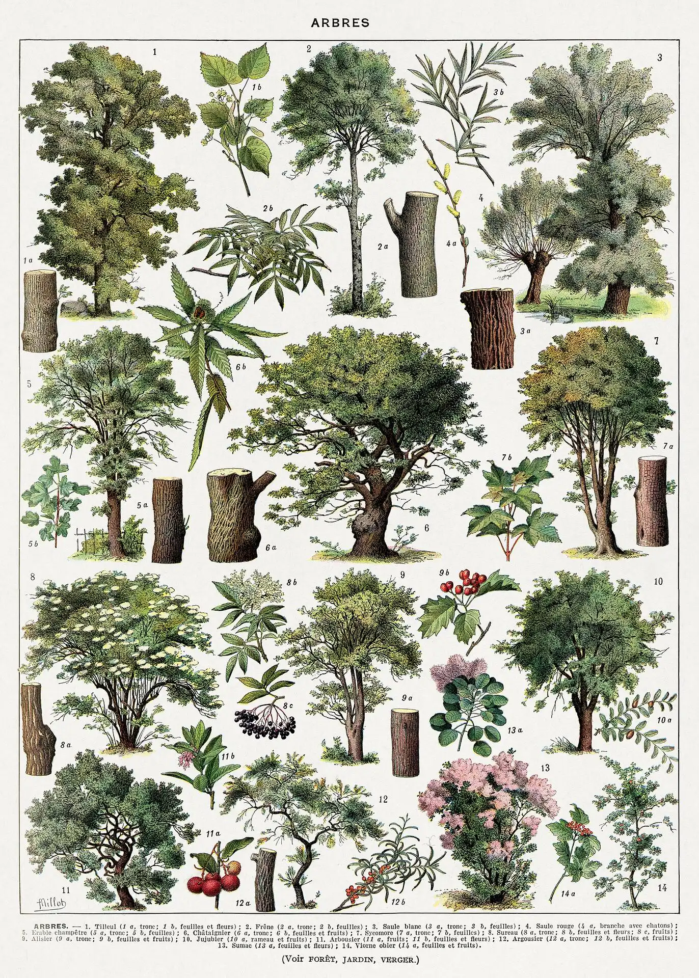 The Runners (1900)-Copy Arbres-couleurs-2 - Image 1