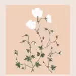 Flower Market poster #59