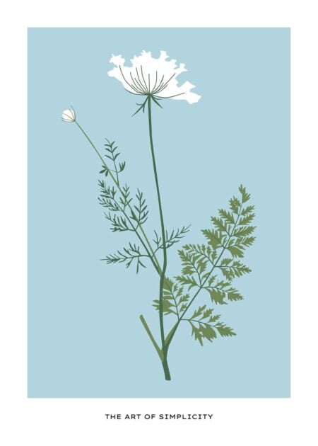 Botanical art print "The art of Simplicity"