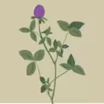 Botanical Barcelona #4