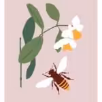 Botanical Art Print #41