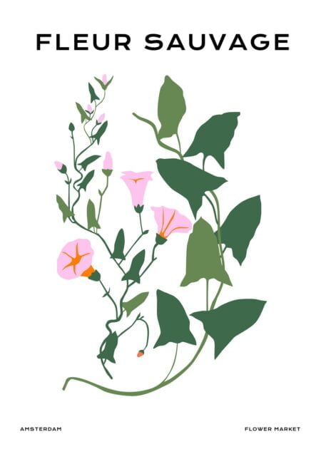 Fleur Sauvage Amsterdam