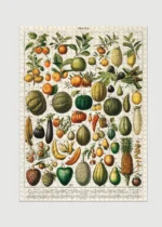 Пъзел 1000 части : Fruits - Image 3