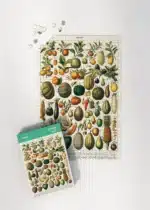 Пъзел 1000 части : Fruits