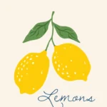 Арт постер Lemons